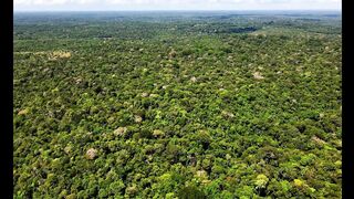 WILD AMAZON | A Forest That Never Sleeps_PART 3/7