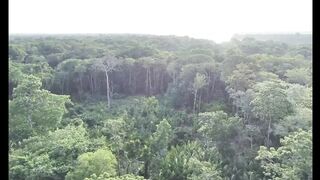 WILD AMAZON | A Forest That Never Sleeps_PART 4/7