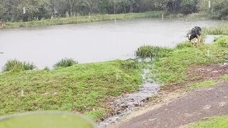 Chuva 5