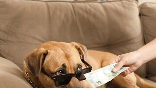 INDO AO MERCADO COM 10 REAIS!