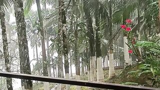 Chuva 6