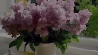 xxdswe43