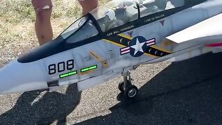 Onde eu posso comprar? Avião modelo F14 #F14 #avião modelo