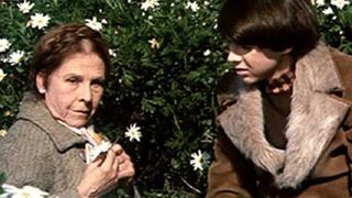 Filme Ensina-me A Viver (1971) Dublado