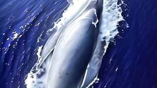 🐋 Majestic Blue Whale Swimming in Deep Ocean - AI Cinematic