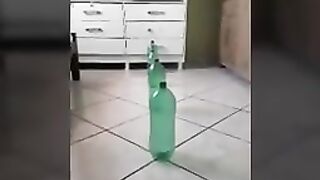 Garrafinhas 2