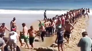 Salvando tubarão