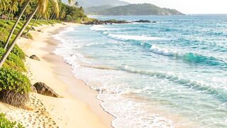 Belezas do Litoral Brasileiro em Praias Incríveis