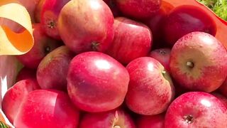 O incrível benefício  da maça  para a saude