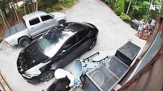 Hilarious videos that will make you die of laughter