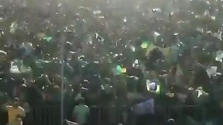 Brasil 5