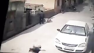 Cuidado com o boi