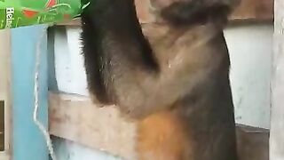 Cerveja 2
