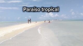 Conheça o caminho de Moisés na praia de Barra Grande Maragogi Brasil