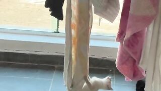 Gato apronta e se pendura nas toalhas 😂🐱