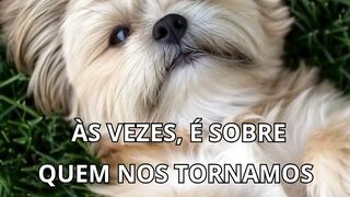 Sem pressa ...