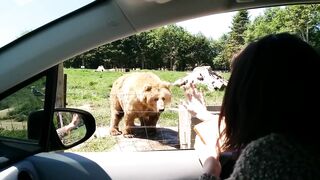 Awesome catch.