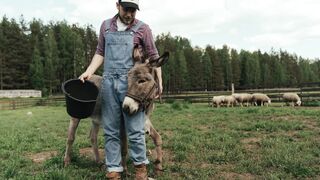Bello named Little Horse