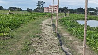 natural video 3