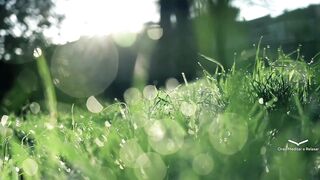 Orar, Meditar e Relaxar - Relaxar #2
