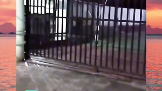 emang lebih serem dari ketemu maling sih