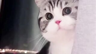 “When You’re Not Rindu, But You Still Miss Someone 🥺🐱”