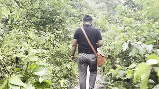 Forest walk 2