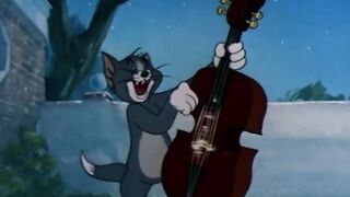 You Won't Believe The Voice Coming Out Of This Cat! 🎶🔥 (Iconic)