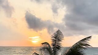 Golden Hour Horizon: Ocean Waves & Palm Trees 🌅