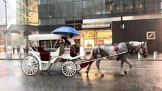 New York City Heavy Rain & Thunderstorm Walk 4K NYC Severe Thunderstorm Manhattan Flash Flooding