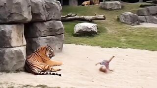 あらゆる追いかけっこを繰り広げる! 「トムとジェリー 11