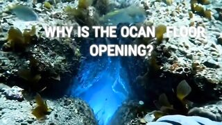 🌊 The Ocean Floor Opened… Something Was Hiding Below