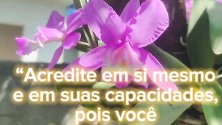 Orquideas
