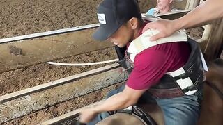 Treino rodeio em touros! Bull riding training.
