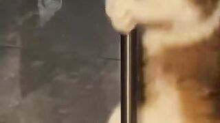 Cats 😂😂