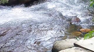 Cachoeira 5