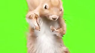 Hello !