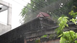 🌧️ RAIN SOUND TO RELIEVE STRESS