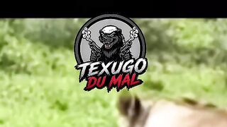 TEXUGO DO MEL VS Léo