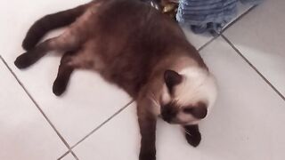 Lili pousando para fazer o vídeo