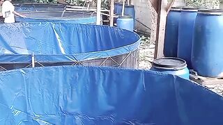 Tarpaulin Pool Ready to Install 2