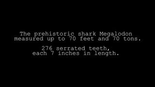 EVIDENCE OF MEGALODON? - MEGALODON: THE MONSTER SHARK LIVES | ¿EVIDENCIAS DEL MEGALODÓN? - MEGALODÓN: EL TIBURÓN MONSTRUO SIGUE VIVO