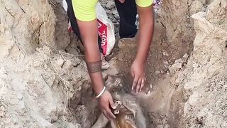 Ele resgatou essa filhote