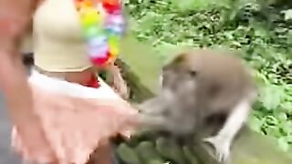 Never trust a monkey with your outfit!.mp4