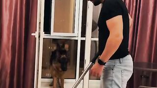 Собака-защитник