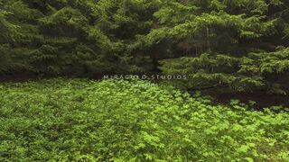 НОРВЕГИЯ - ФЬОРДЫ
