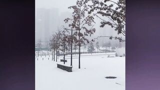 Сильный снегопад вторгся в Южную Корею