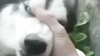 Типичный русский рэп