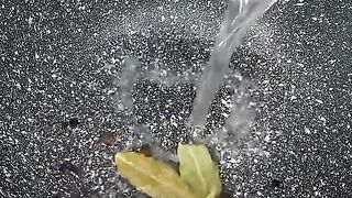 Маринованные шампиньоны