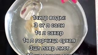 Скумбрия в рассоле